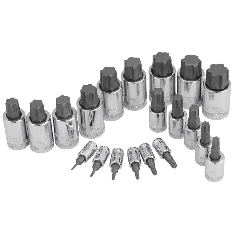 20-PC. Metric Master R.B.R.T. Hex Driver Set