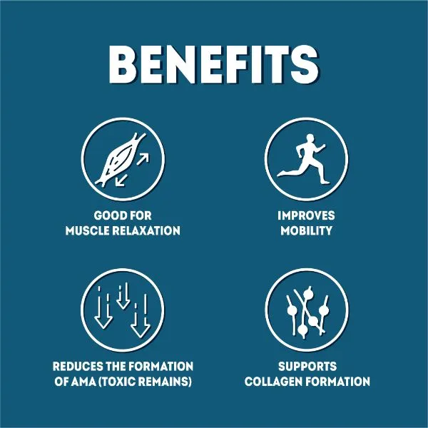 AADAR Ayurveda Ortho Sure Capsule & Oil for Joint & Muscle Pain Relief <br> (30/60 Days Course)