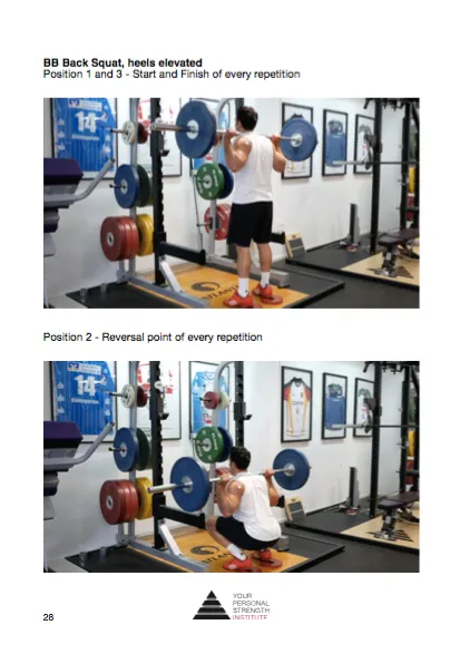 Advanced Strength and Mass Holiday
