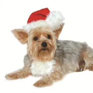 Dogo Pet - Santa Hat