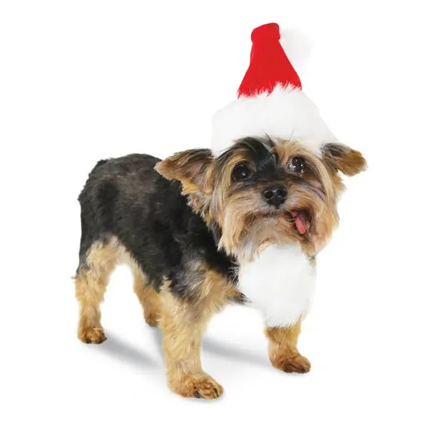 Dogo Pet - Santa Hat