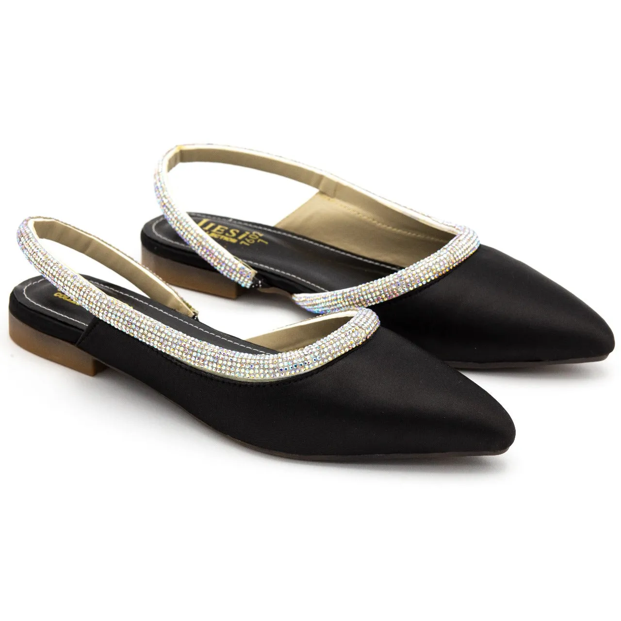 Flat mnlisa pump