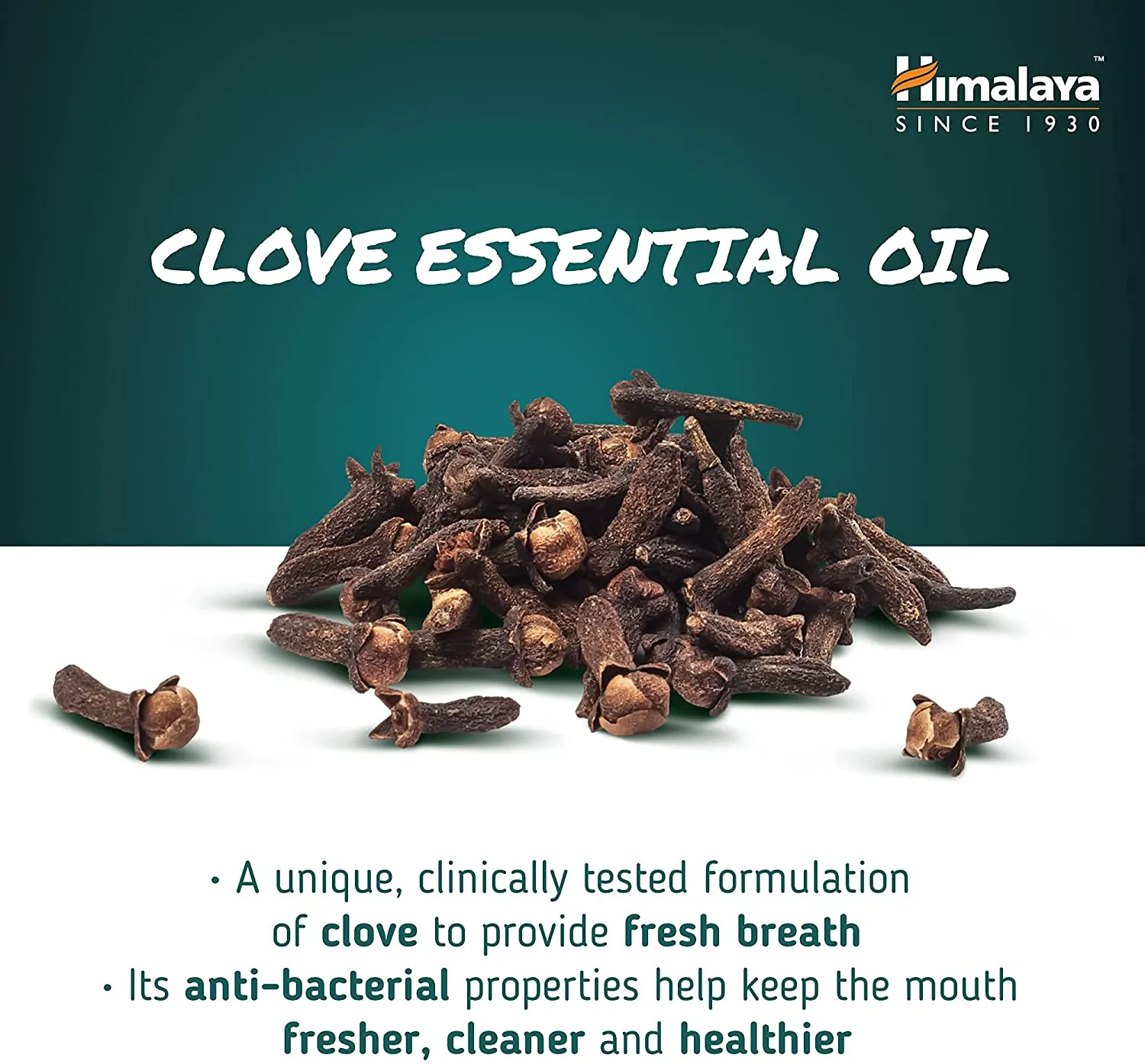 Himalaya Ayurvedic Dental Cream Herbal Toothpaste - Clove - 100 g