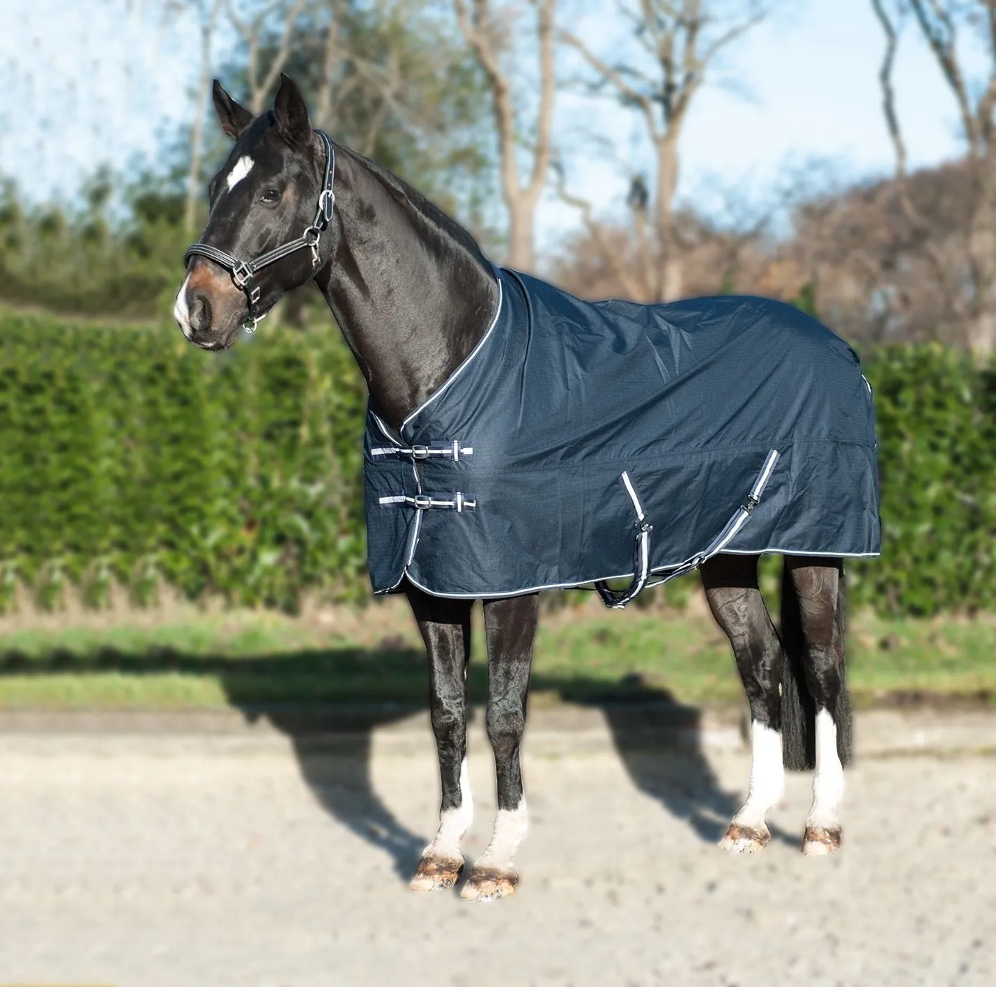 HKM Turnout Rug Economic Winter