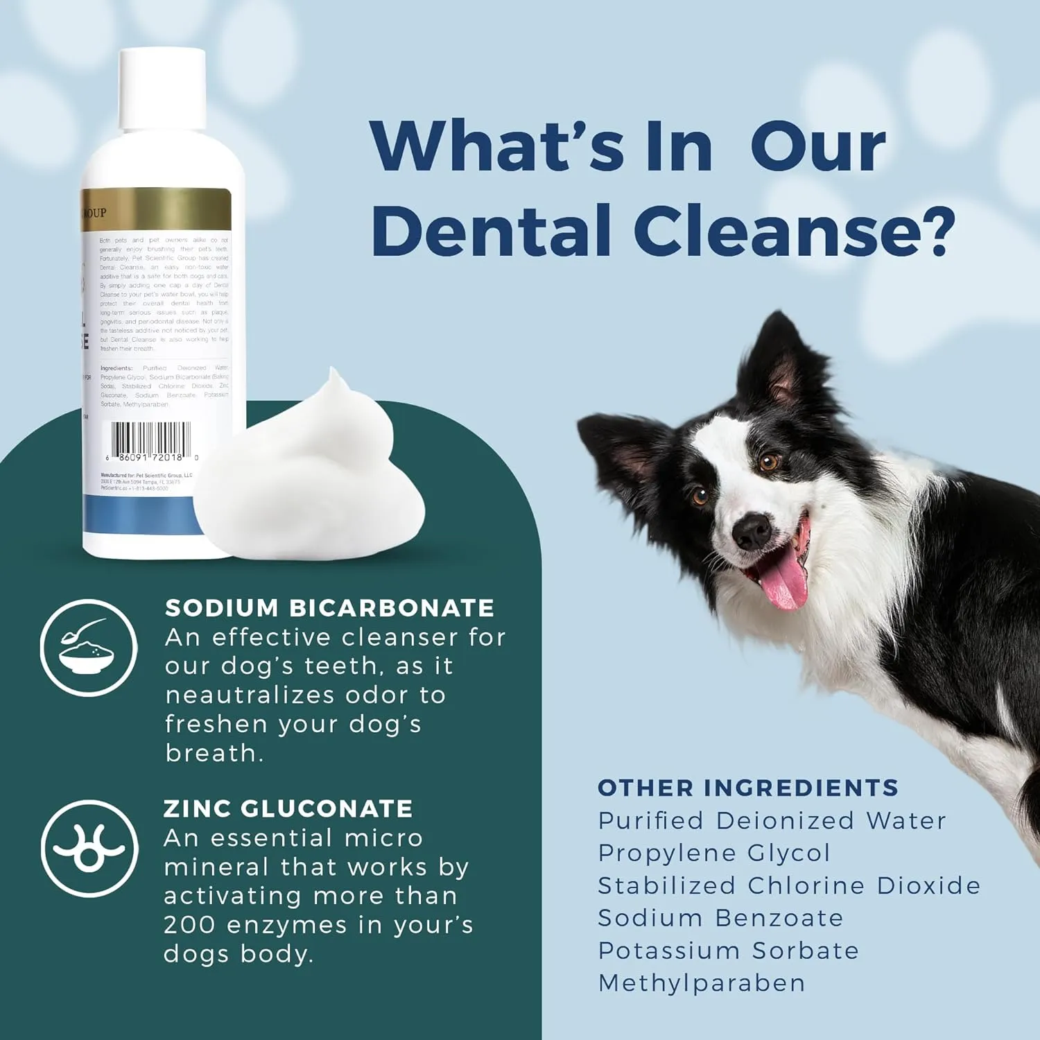 NEW Petscy - Dental Cleanse, All-Natural Cat & Dog Tartar Remover for Teeth, Cat & Dog Water Additive for Dental Care, Suitable for All Ages, Breeds & Sizes, 8 Oz