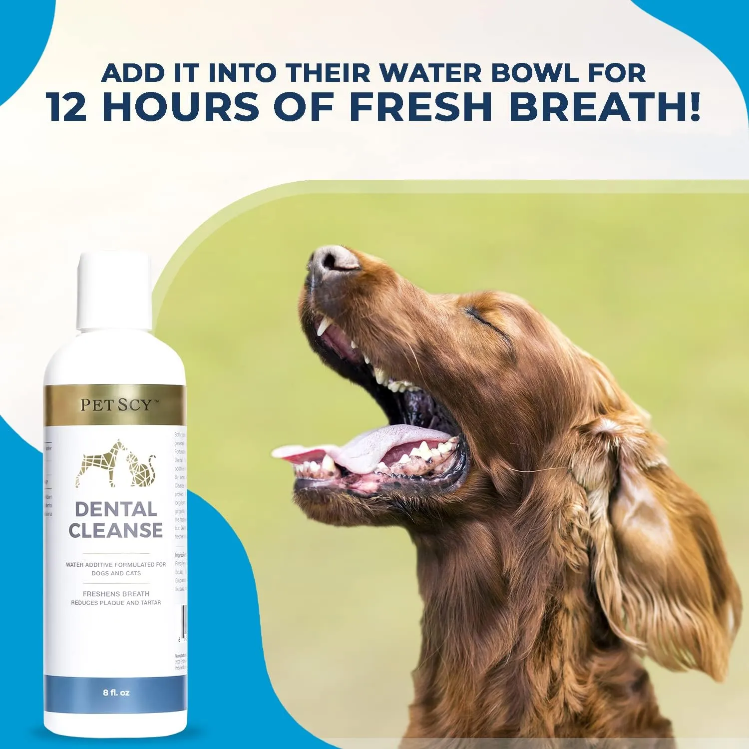 NEW Petscy - Dental Cleanse, All-Natural Cat & Dog Tartar Remover for Teeth, Cat & Dog Water Additive for Dental Care, Suitable for All Ages, Breeds & Sizes, 8 Oz