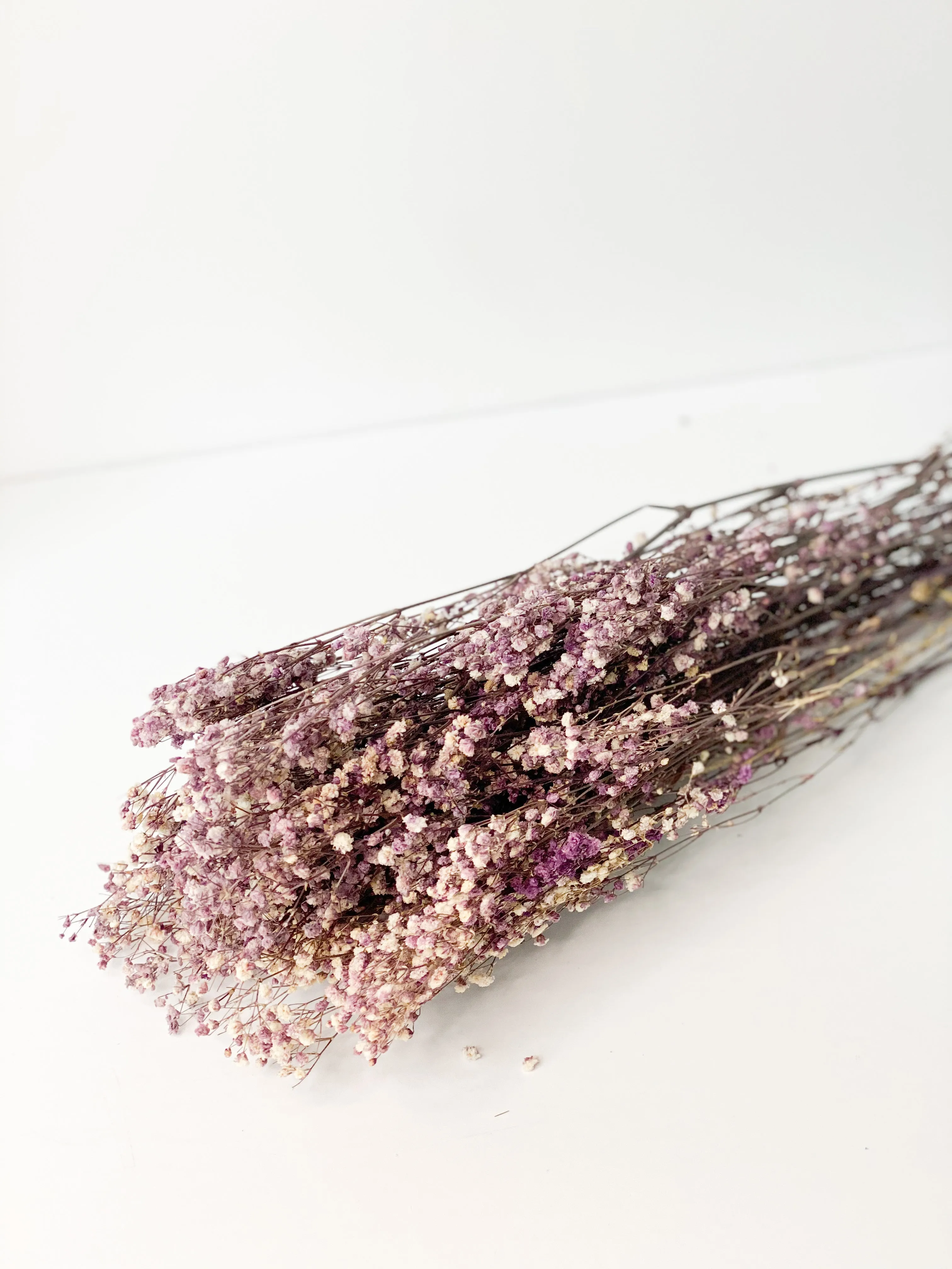 Permanent Baby's Breath (Gypsophila) in Variety Colors