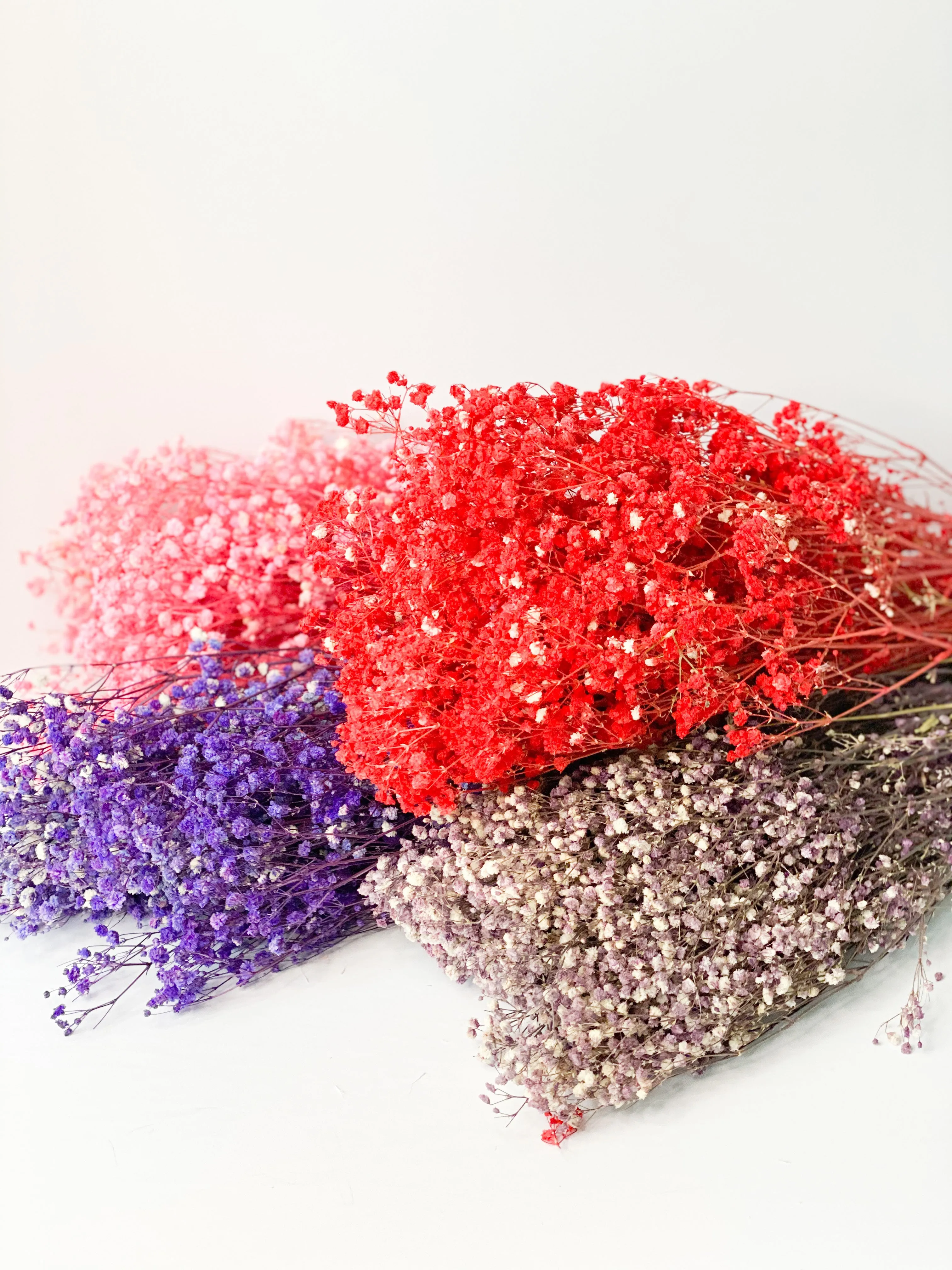 Permanent Baby's Breath (Gypsophila) in Variety Colors