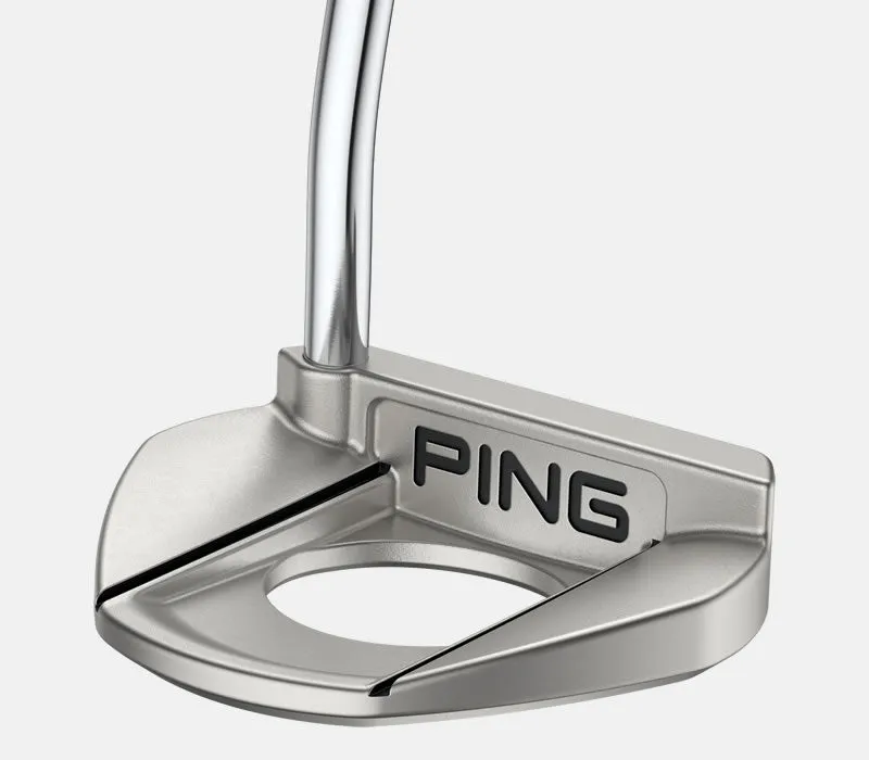 Ping 2024 Fetch