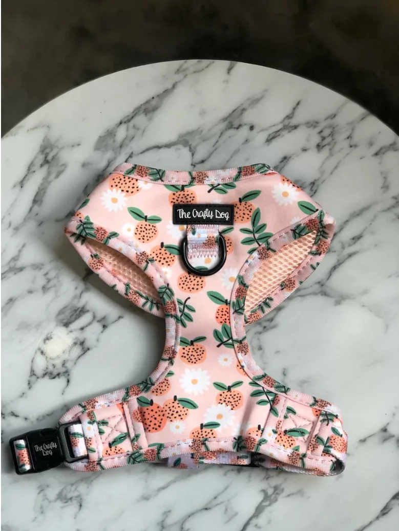 "Orange Blossom" Adjustable Harness
