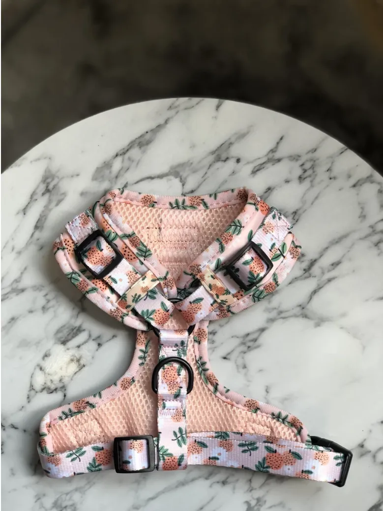 "Orange Blossom" Adjustable Harness