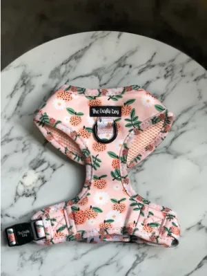 "Orange Blossom" Adjustable Harness