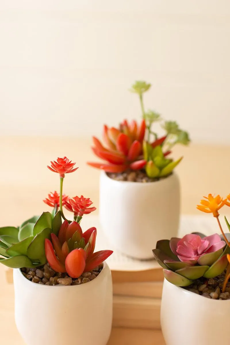 Set of 3 Artificial Succulent Plants In a White Ceramic Pot