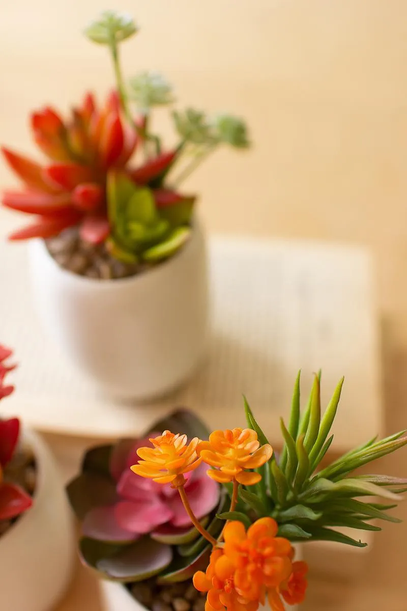 Set of 3 Artificial Succulent Plants In a White Ceramic Pot