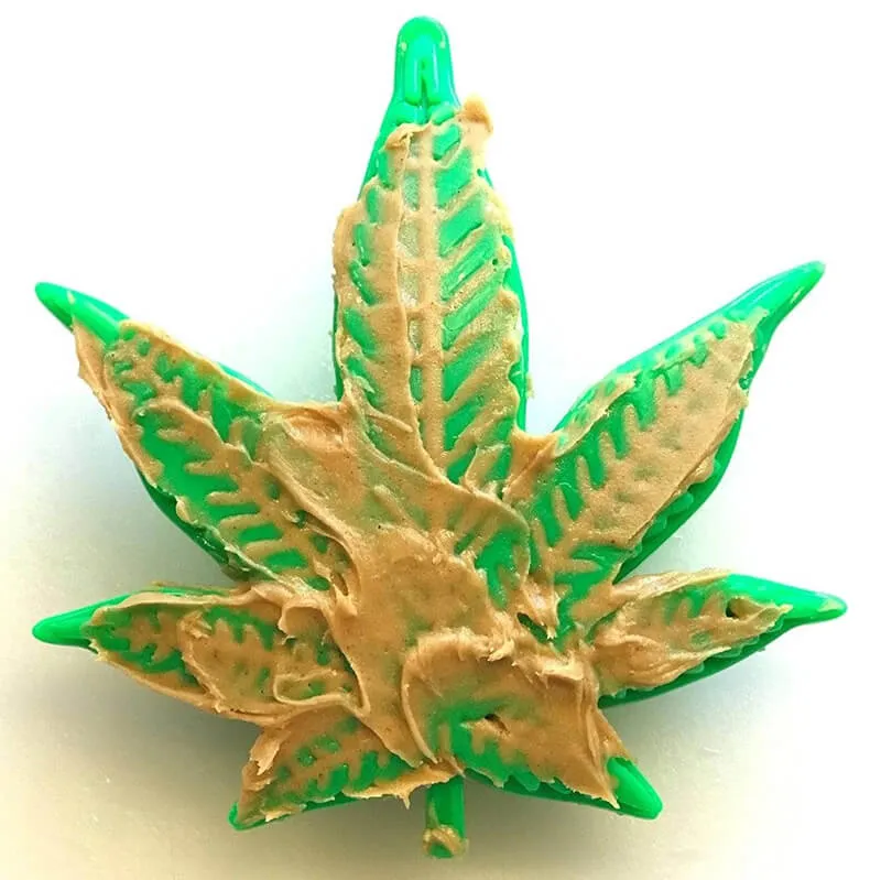 Soda Pup Nylon Colorado "Maple" Leaf  Chew & Enrichment Toy