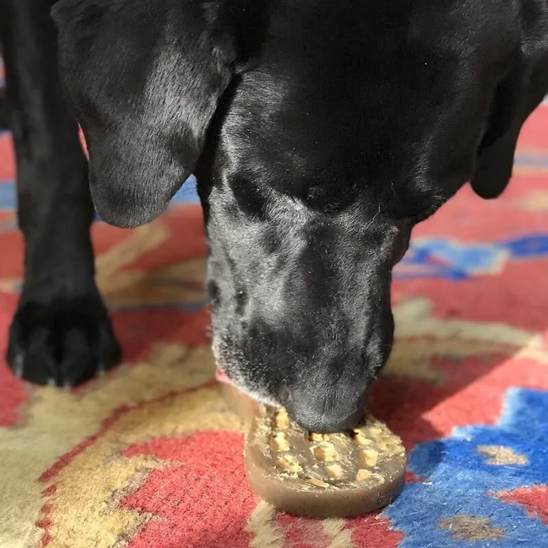 Soda Pup Nylon Peanut Chew & Enrichment Toy