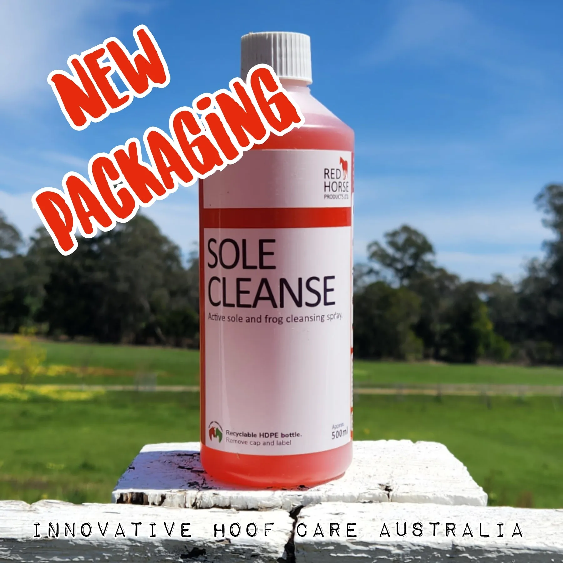 Sole Cleanse
