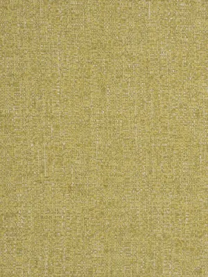 Zagros-Sole Green